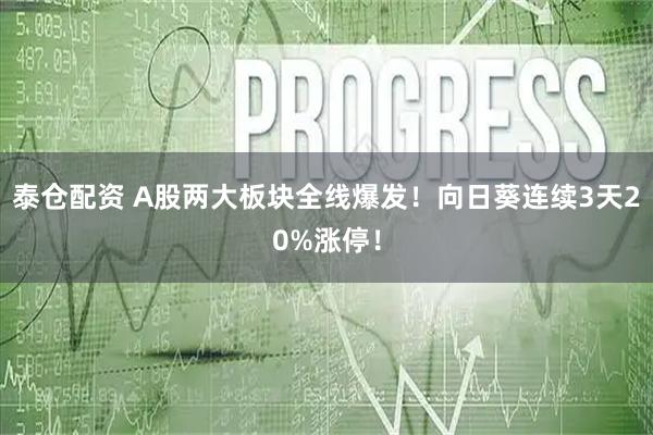 泰仓配资 A股两大板块全线爆发！向日葵连续3天20%涨停！