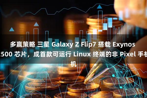 多赢策略 三星 Galaxy Z Flip7 搭载 Exynos 2500 芯片，成首款可运行 Linux 终端的非 Pixel 手机