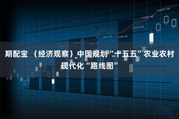 期配宝 （经济观察）中国规划“十五五”农业农村现代化“路线图”