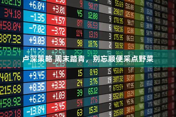 卢深策略 周末踏青，别忘顺便采点野菜