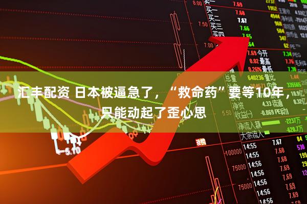 汇丰配资 日本被逼急了，“救命药”要等10年，只能动起了歪心思